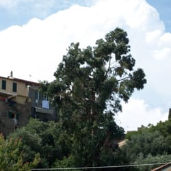 Sasso