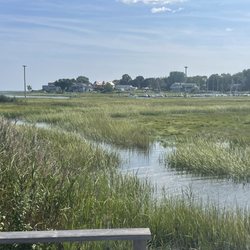 The Elliot Preserve