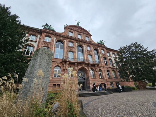 Senckenberg Nature Museum by null