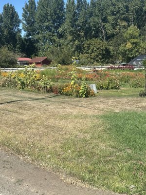 Gathering Together Farm by null