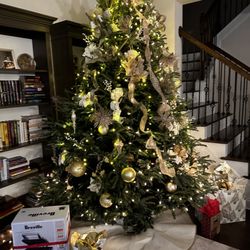 Willie Simpson's Christmas Tree Lot