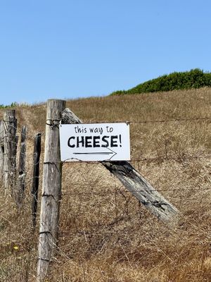 Point Reyes Farmstead Cheese Co by null