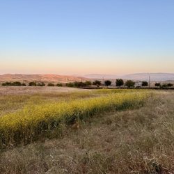 Tassajara Ridge Staging Area