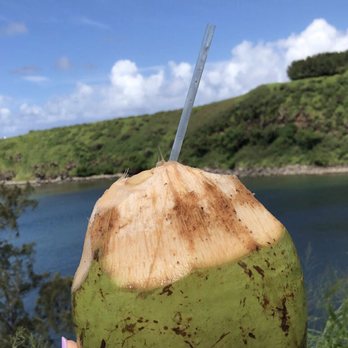Coconut Caboose - Fresh coconut - Food Trucks Near Me