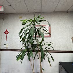 Tai Jiang Restaurant