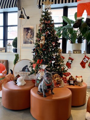 DOGGIEVILLE MTL by null