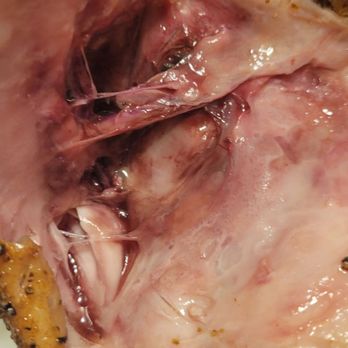 Pappas Bar-B-Q - Chicken was undercooked. - Barbeque Near Me - Houston, Texas Pappas Bar-B-Q - Chicken was undercooked. - Barbeque Near Me - Houston, Texas
