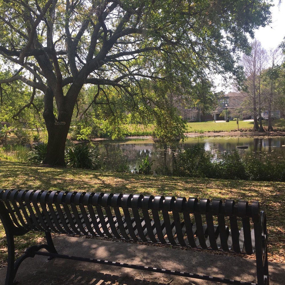 Lake Midget Park - Bench on the north Kentucky side - Parks Near Me Lake Midget Park - Bench on the north Kentucky side - Parks Near Me