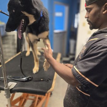 Power Paws pet salon - Pet Groomers Near Me - Beloit, Wisconsin