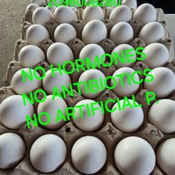 Snyder's Fresh Eggs