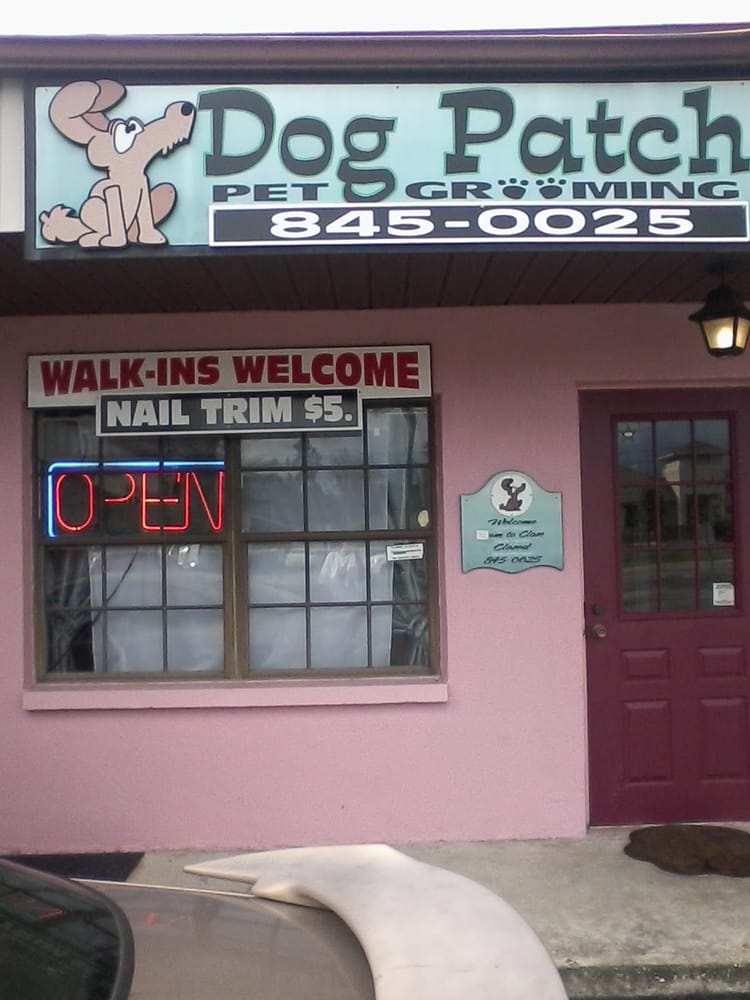 Dog Patch Image