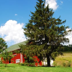Catskills Escape Bed & Breakfast - The Red barn at Catskills Escape