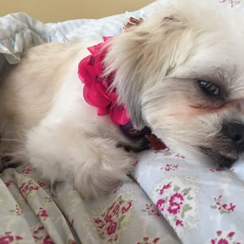 Bark Life - Pet Stores Near Me - Seminole, Florida
