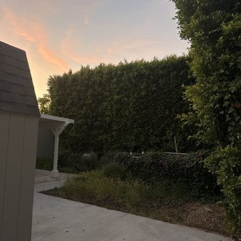 Affordable Tree Care - Tree Services Near Me