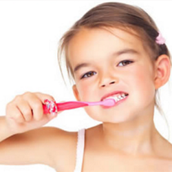 Kenneth V Lee, DDS