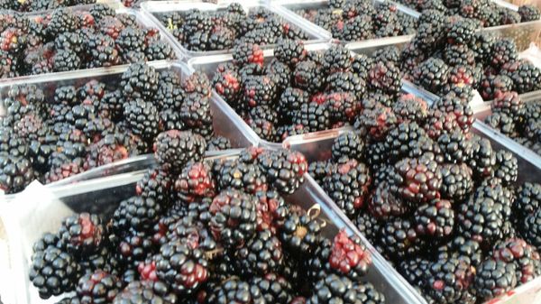 The Original Bardstown Road Farmers' Market Inc. by null