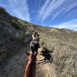 LA Horse Rentals