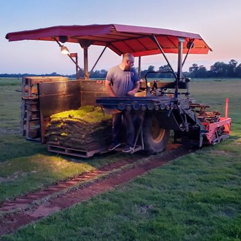 Riverview Turfworks - Zoysia sod - Lawn Services Near Me - Van Buren, Arkansas