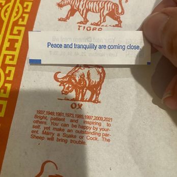 Canton Palace Chinese Restaurant - More photos tomorrow for sure - Dim Sum Near Me - Miami, Florida