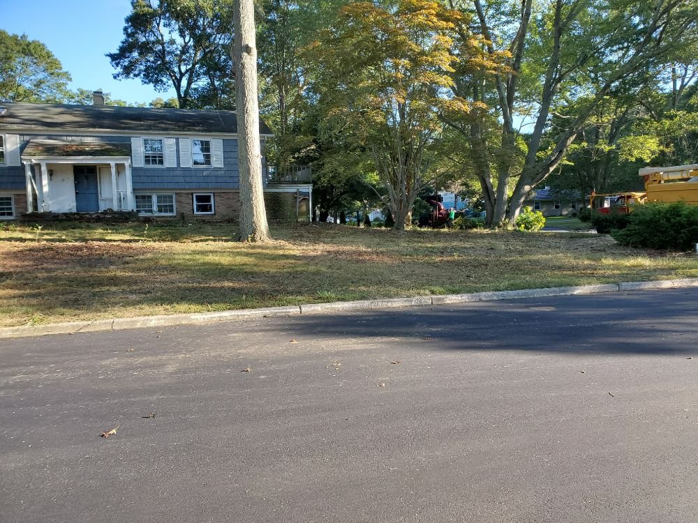 JOSE TREE SERVICE AND LANDSCAPING Updated September 2024 Coram, New