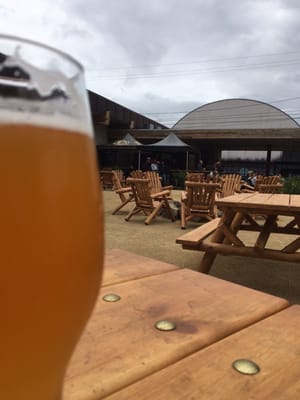 Belching Beaver Brewery Tavern and Grill (Downtown Vista) by null