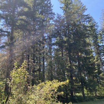 Almost Paradise Lodging - Guest Houses Near Me - Ashford, Washington