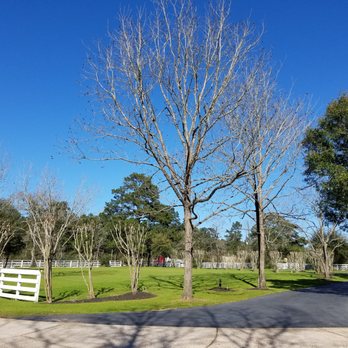 Ashelynn Manor Events - Venues & Event Spaces Near Me - Magnolia, Texas Ashelynn Manor Events - Venues & Event Spaces Near Me - Magnolia, Texas