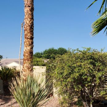 Star Nursery - Nurseries & Gardening Near Me - North Las Vegas, Nevada Star Nursery - Nurseries & Gardening Near Me - North Las Vegas, Nevada