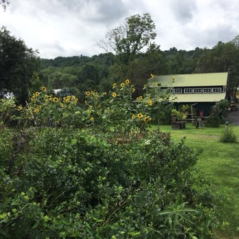 Blooming Hill Farm - Farmers Market Near Me - Monroe, New York