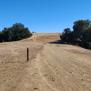 Pleasanton Ridge Regional Park - Parks Near Me - Pleasanton, California
