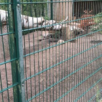 Tierpark - Zoos Near Me - Gera, TH