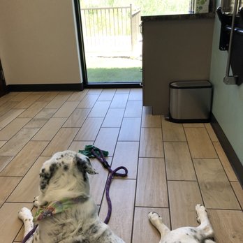 Southwest Vet - Veterinarians Near Me - Austin, Texas Southwest Vet - Veterinarians Near Me - Austin, Texas