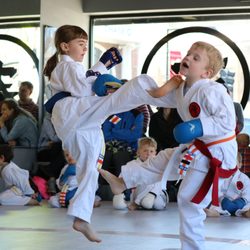 Fonseca Martial Arts - Evanston - Little Dragons (ages 5-6)