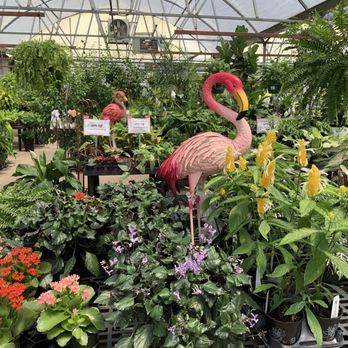 Calloway's Nursery - Nurseries & Gardening Near Me - Richardson, Texas