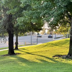 Towngate Memorial Park - Sunrise from the East