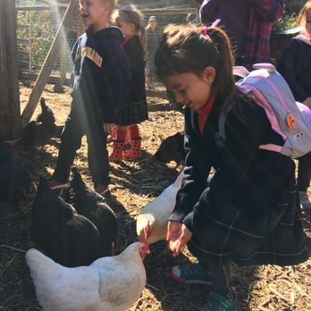 Hidden Villa - My daughter feeds the descendant of the dinosaurs - Community Service/Non-Profit Near Me - Los Altos Hills, California