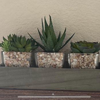 Hobby Lobby - Bought these fake plants.  They are nice. - Home Decor Near Me - Oxnard, California