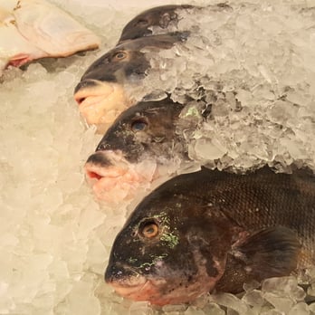 Two Cousins Fish Market - Seafood Markets Near Me - Freeport, New York Two Cousins Fish Market - Seafood Markets Near Me - Freeport, New York