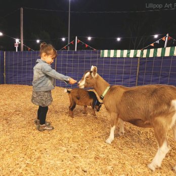 Pumpkin Station - Kids Activities Near Me - National City, California Pumpkin Station - Kids Activities Near Me - National City, California