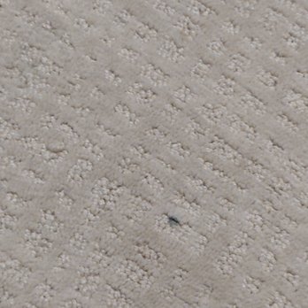 Reach Higher Painting - Paint carpet - Painters Near Me Reach Higher Painting - Paint carpet - Painters Near Me