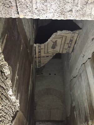 Domus Aurea by null