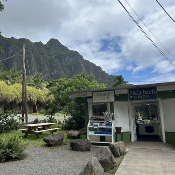 Malama Tours - Tours Near Me - Honolulu, Hawaii