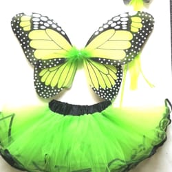 Fairy Wings Boutique