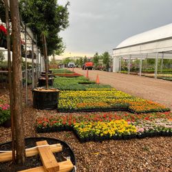 Tree Source Wholesale Nursery