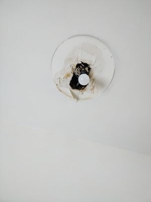 Scrappy's Magic Touch Logo