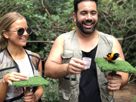 Parque das Aves by null