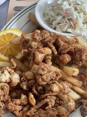 Sly Fox Den Too Charlestown by null