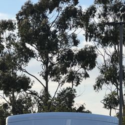 Tesla Supercharger - Super Crowded! A Wait Line