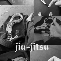 Gracie Barra Brazilian Jiu Jitsu And Fitness Libertyville
