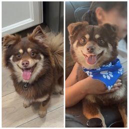 Before & after